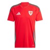 Maillot de Supporter Pays de Galles Domicile 2024 Pour Homme